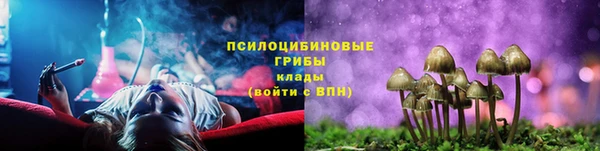 СК Михайловск