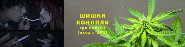 СК Михайловск