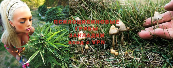 кокс Михайловка