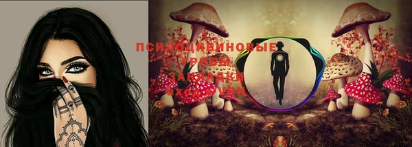 МДПВ Коряжма