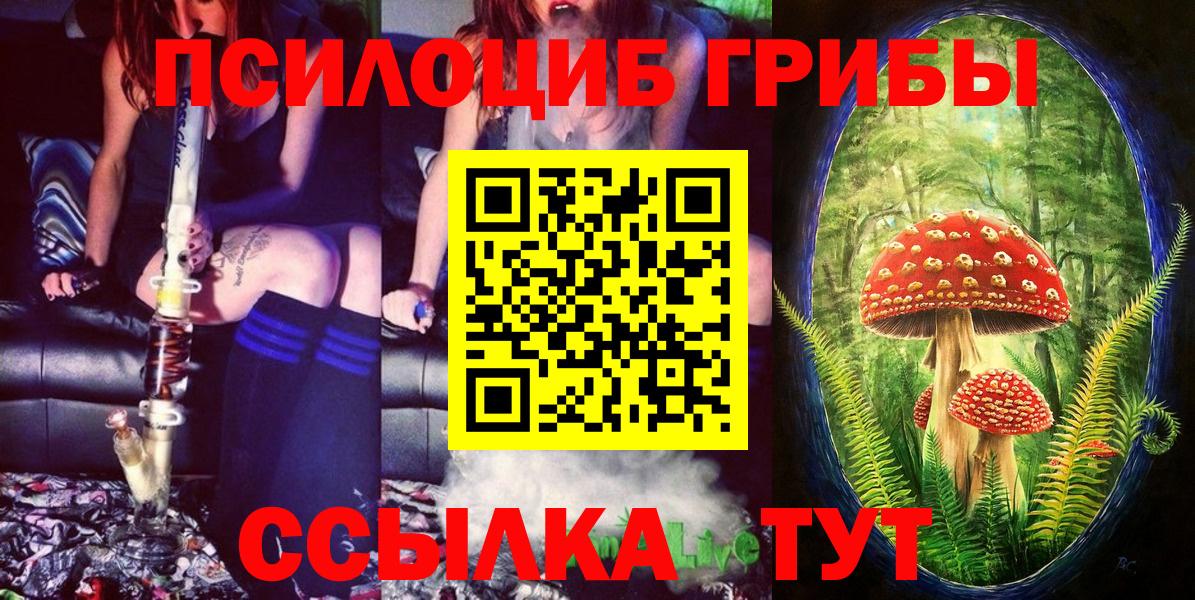 Галлюциногенные грибы Psilocybe Екатеринбург
