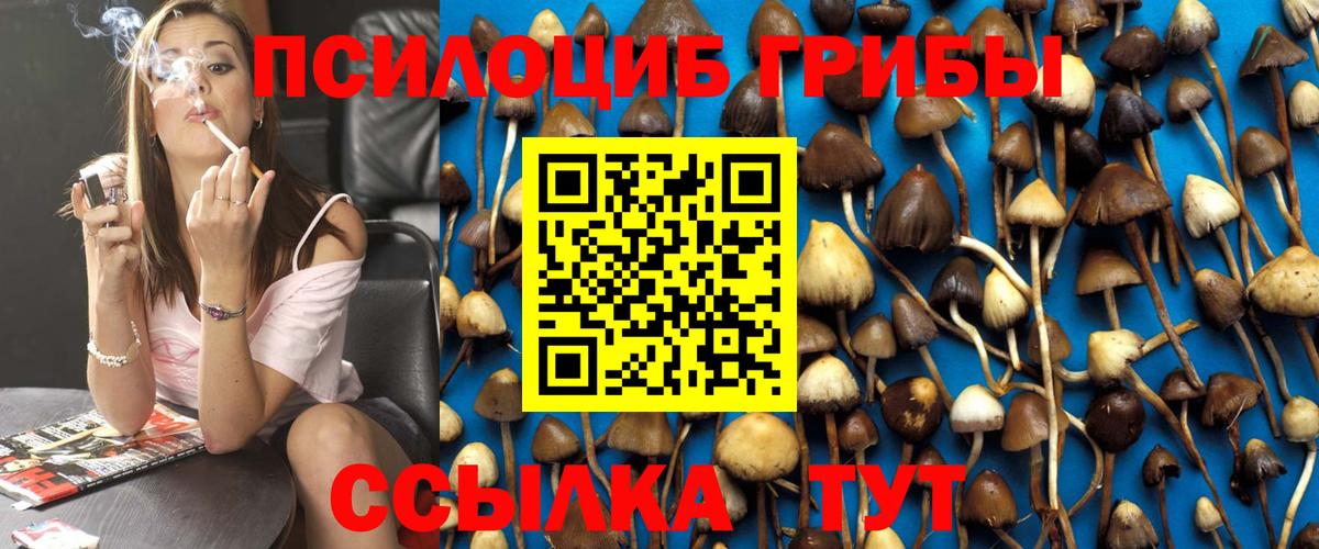 Екатеринбург  Галлюциногенные грибы GOLDEN TEACHER  продажа наркотиков  Вход с VPN 